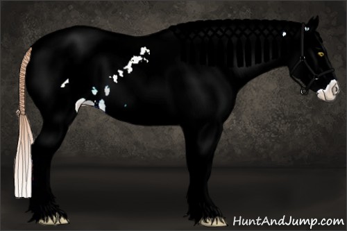 Horse Color:White Spotted Gold Champagne Splash Tobiano Leopard Rabicano 