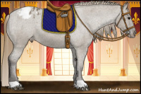 Horse Color:Smoky Grullo Appaloosa 