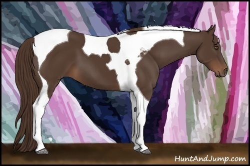 Horse Color:Liver Chestnut Sabino Tobiano 