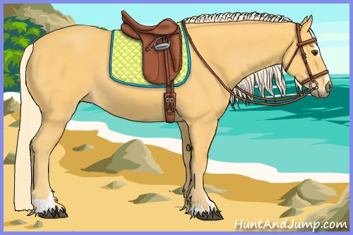 Horse Color:Palomino Sabino
