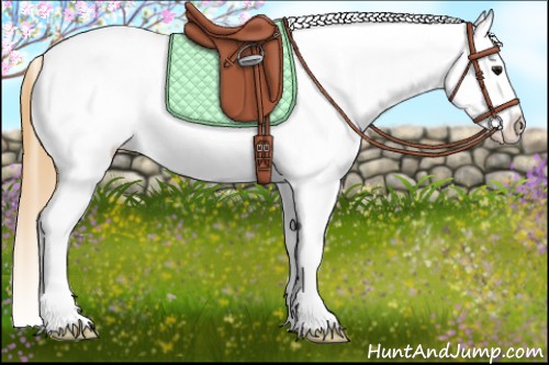 Horse Color:Smoky Grullo Roan Appaloosa 