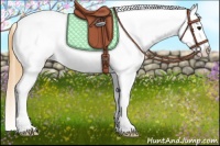 Horse Color:Smoky Grullo Roan Leopard 