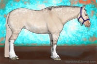 Horse Color:Silver Bay Ice Dun Rabicano 