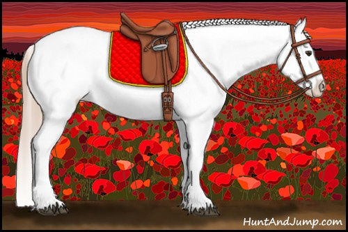 Horse Color:Chocolate Palomino Blanket
