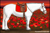 Horse Color:Chocolate Palomino Appaloosa 