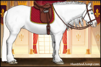 Horse Color:Palomino Pearl Appaloosa 