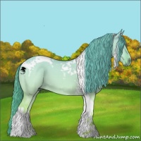Horse Color:Red Dun Chinchilla Tobiano 