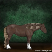 Horse Color:Liver Chestnut Tobiano