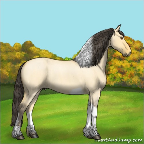 Horse Color:Buckskin Roan Dun Tobiano 
