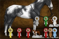 Horse Color:Black Sabino Tobiano Frame Rabicano 