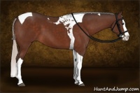 Horse Color:Silver Brown Splash Tobiano 
