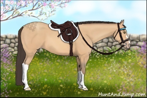 Horse Color:Amber Champagne
