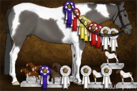 Horse Color:Black Sabino Tobiano