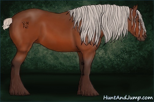 Horse Color:Silver Bay 