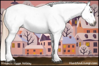 Horse Color:Gray Palomino Sabino Snowcap 