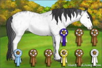 Horse Color:White Spotted Black Blanket Rabicano