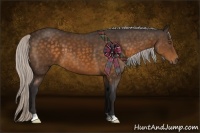 Horse Color:Silver Buckskin 