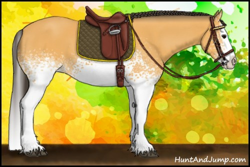 Horse Color:White Spotted Buckskin Splash