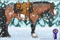 Horse Color:Brown Roan Frame