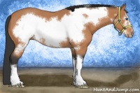 Horse Color:Bay Roan Frame