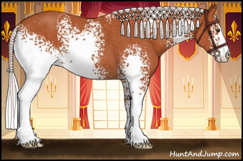 Horse Color:White Spotted Silver Bay Rabicano 
