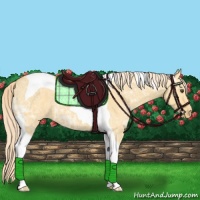 Horse Color:Palomino Ice Dun Tobiano Varnish