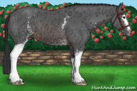 Horse Color:White Spotted Brown Ice