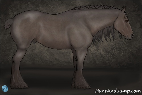 Horse Color:Smoky Blue Roan 