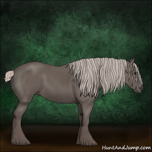 Horse Color:Silver Black 