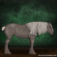 Horse Color:Silver Black 