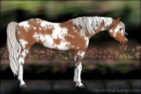Horse Color:White Spotted Silver Bay 
