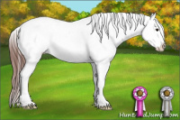 Horse Color:Brown Dun Splash Appaloosa