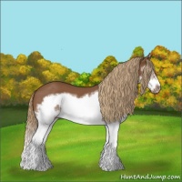 Horse Color:Chestnut Splash Frame