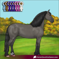 Horse Color:Grullo 