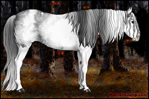 Horse Color:White Spotted Blue Roan Splash Varnish