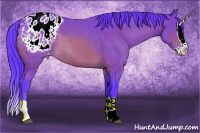 Horse Color:Watercolor Brown Splash Appaloosa 