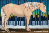 Horse Color:Gray Cremello 