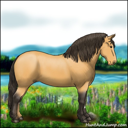 Horse Color:Buckskin 