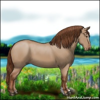 Horse Color:Red Dun