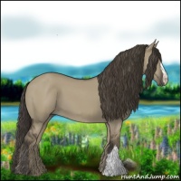 Horse Color:Smoky Grullo 
