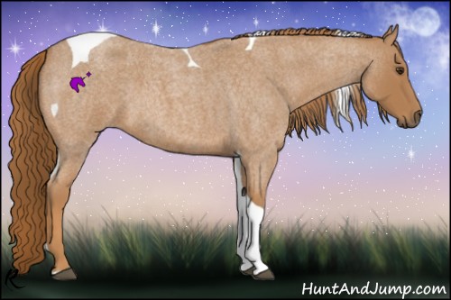 Horse Color:Red Roan Tobiano 