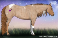 Horse Color:Red Roan Tobiano 