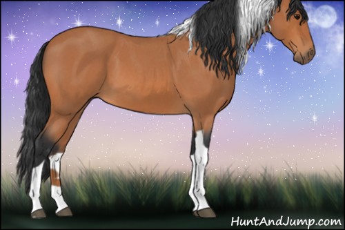 Horse Color:Bay Roan Tobiano