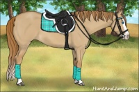 Horse Color:Red Dun Splash 