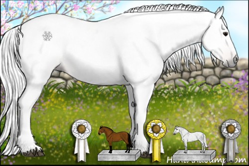 Horse Color:Gray Bay Tobiano 