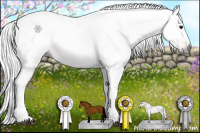 Horse Color:Gray Bay Tobiano
