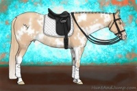 Horse Color:White Spotted Gold Champagne Rabicano