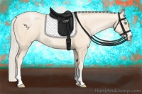 Horse Color:Gold Cream Champagne Pearl Sabino