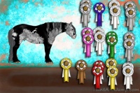 Horse Color:Black Ice Sabino Tobiano 
