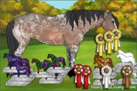 Horse Color:Bay Ice Sabino 